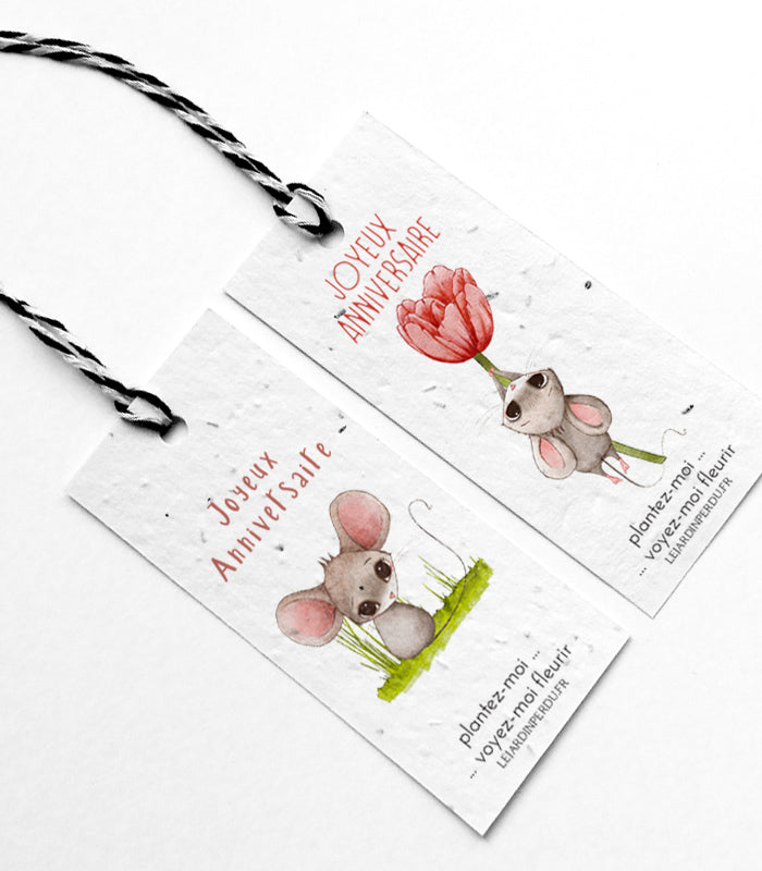 Sets of Plantable gift tags