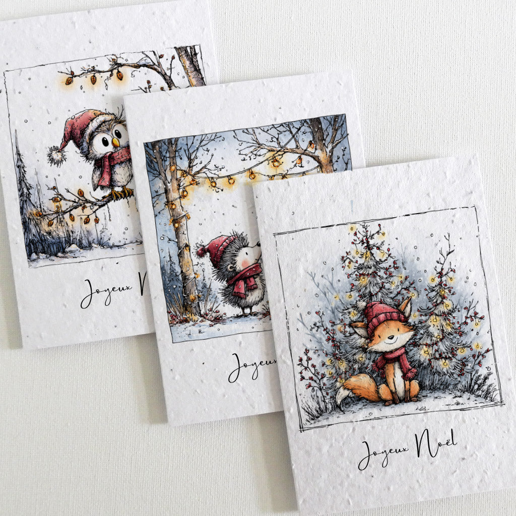 Lots de cartes de Noël à planter papier ensemencé