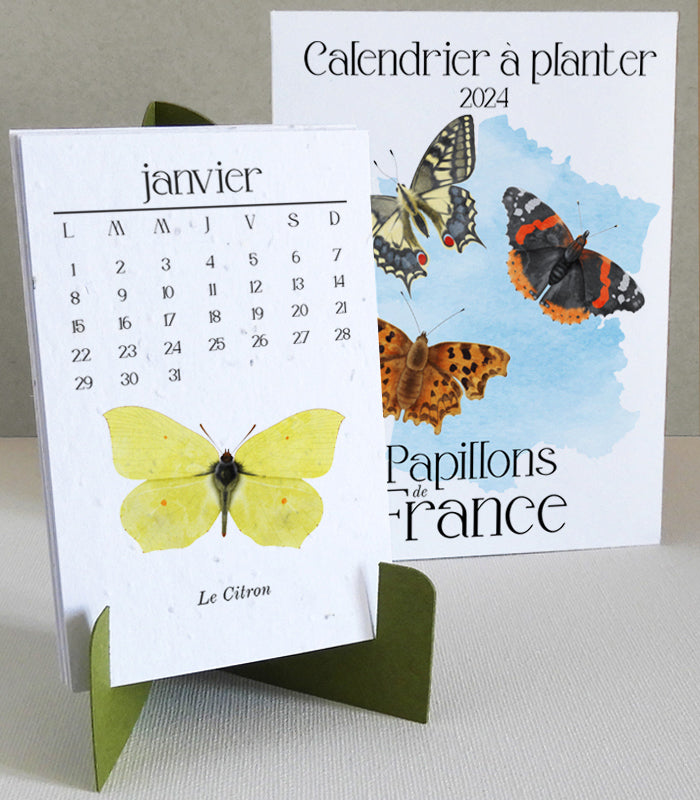 Calendrier à planter 2024 papier ensemencé