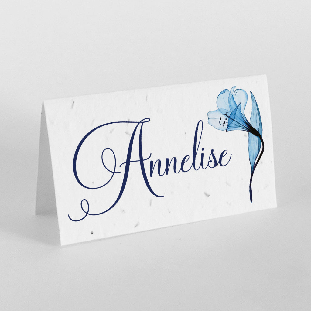 Marque place original papier ensemencé