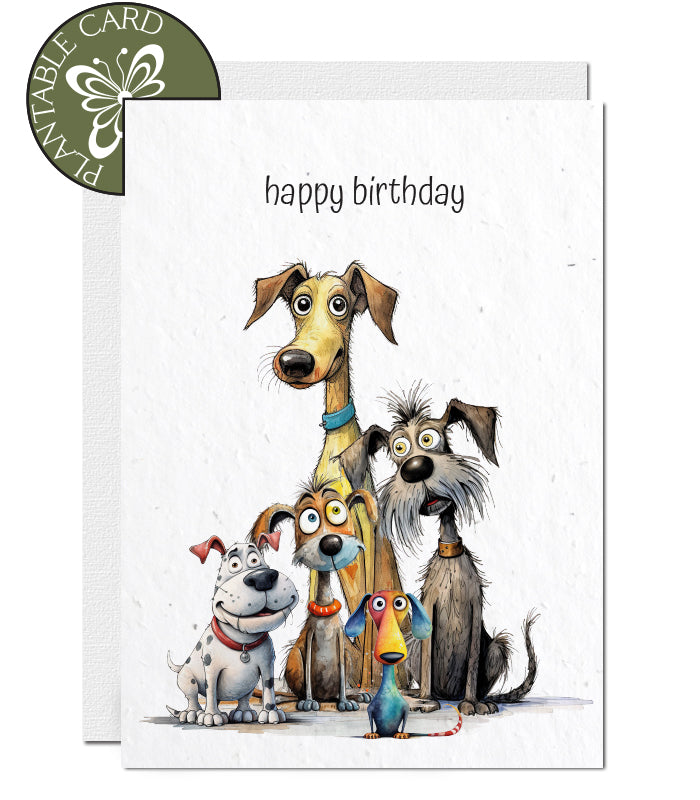 birthday card seed paper