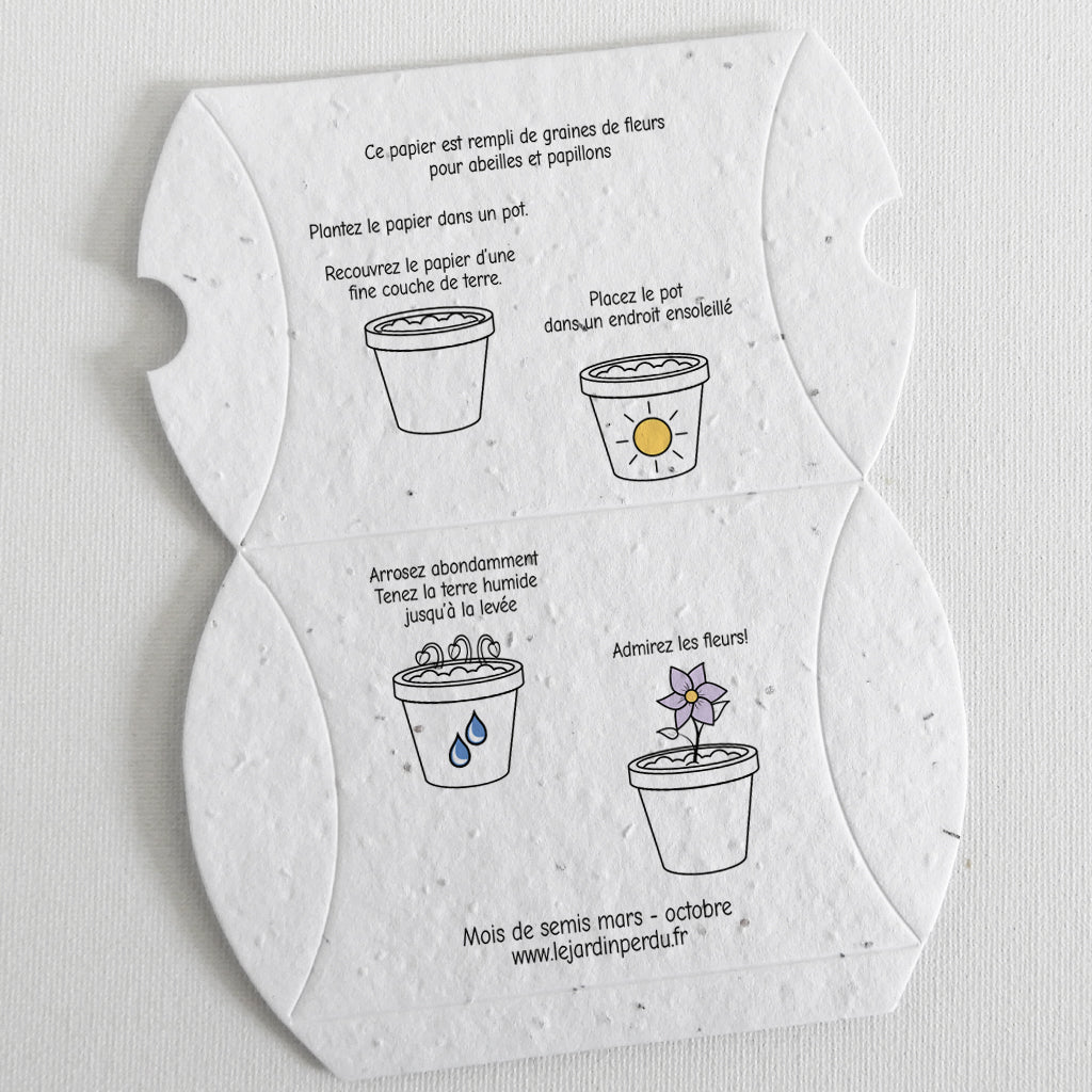 Boîte papier ensemencé
