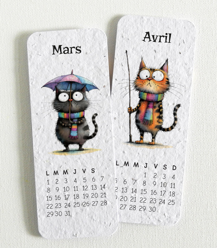cadeau de Noël unique calendrier à planter