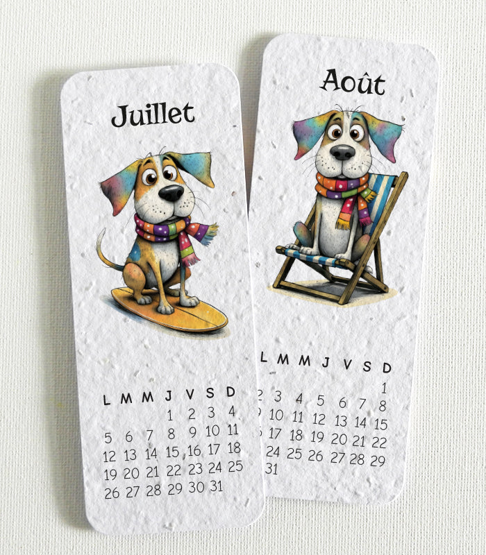 cadeau de Noël unique calendrier à planter