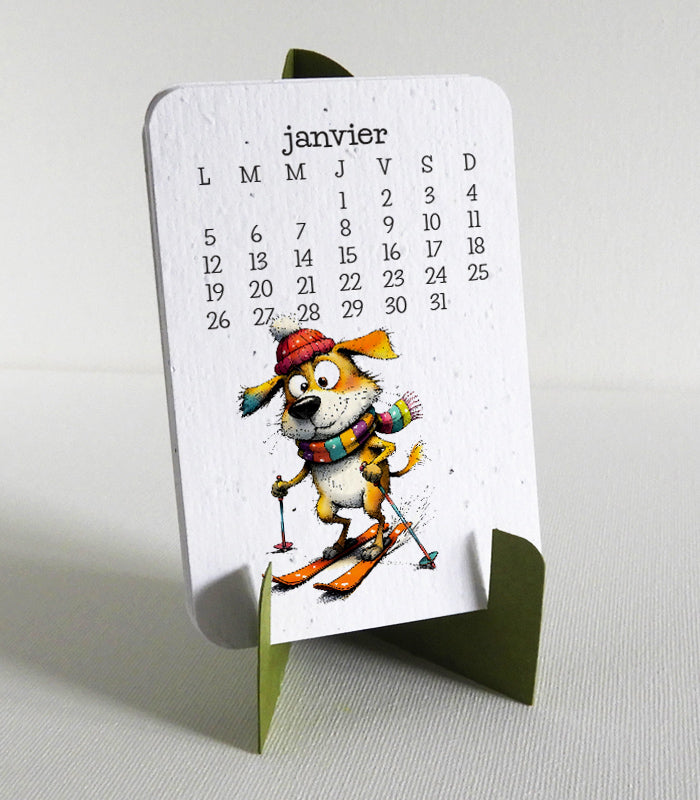 cadeau de noël écoresponsable papier ensemencé