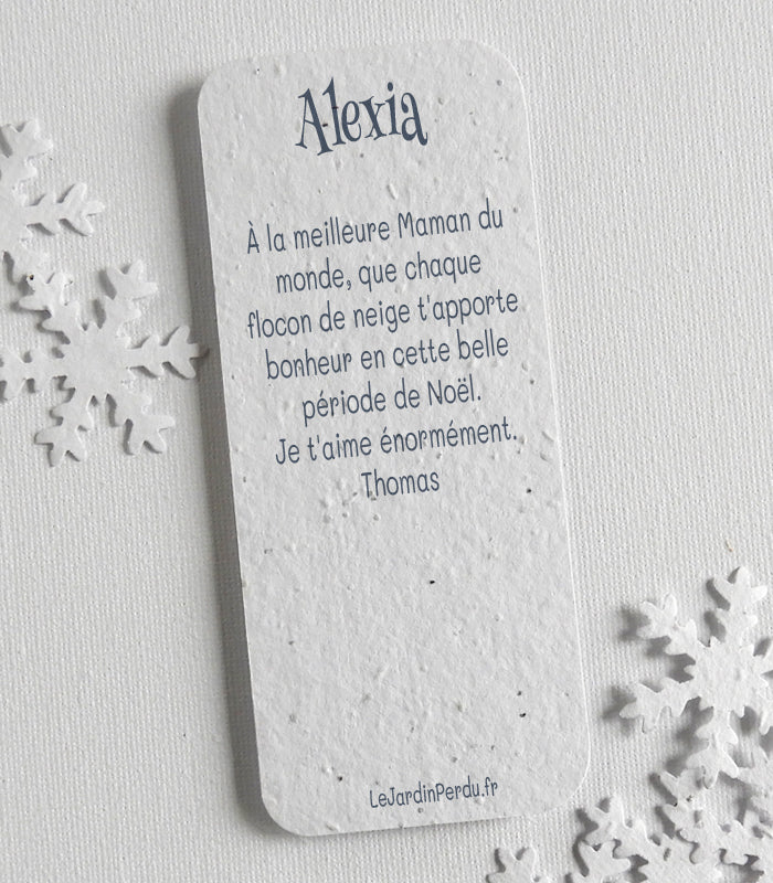 cadeau de noël papier ensemencé