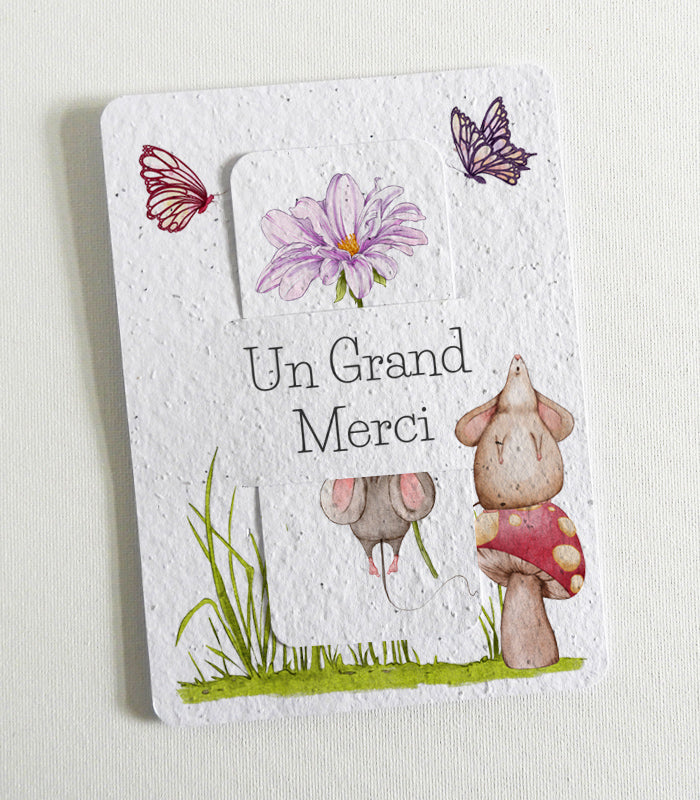 cadeau écoresponsable merci