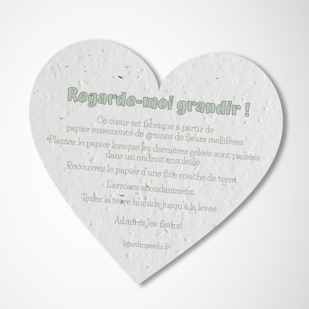 cadeau invité à planter nounours