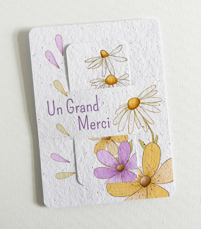 cadeau merci maîtresse unique écoresponsable