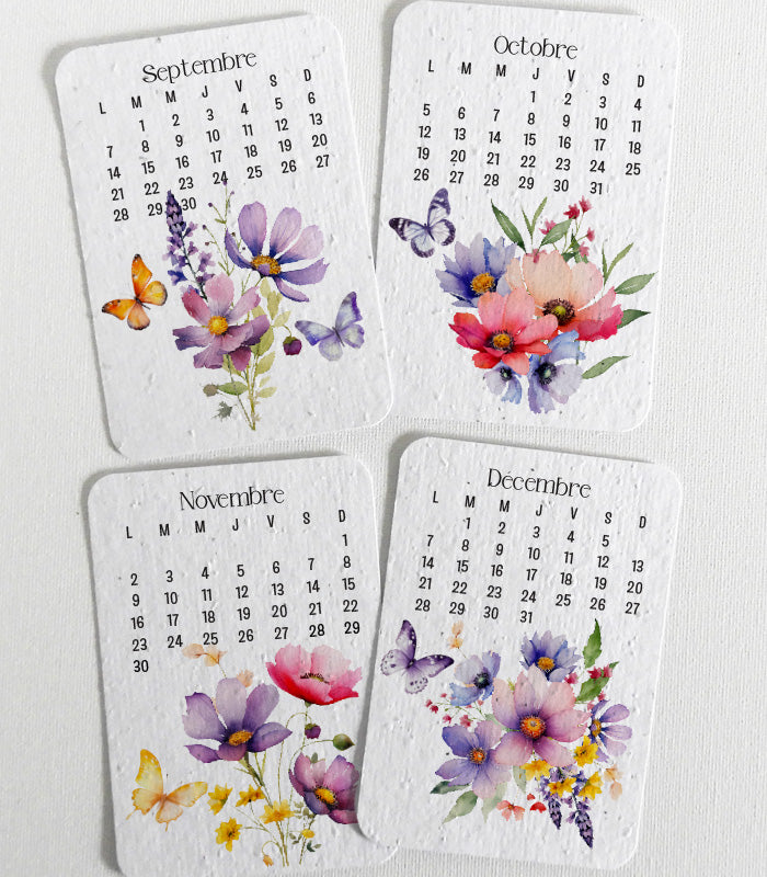cadeau noël calendrier à planter