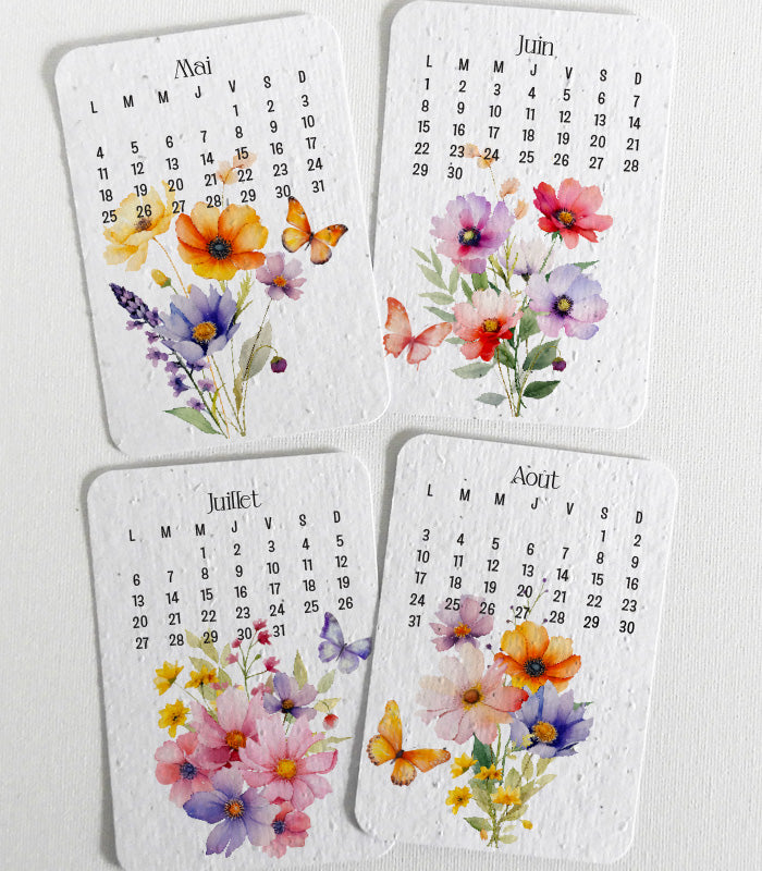 cadeau noël écoresponsable calendrier à planter