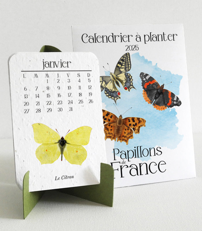 Calendrier à planter 2025 papier ensemencé