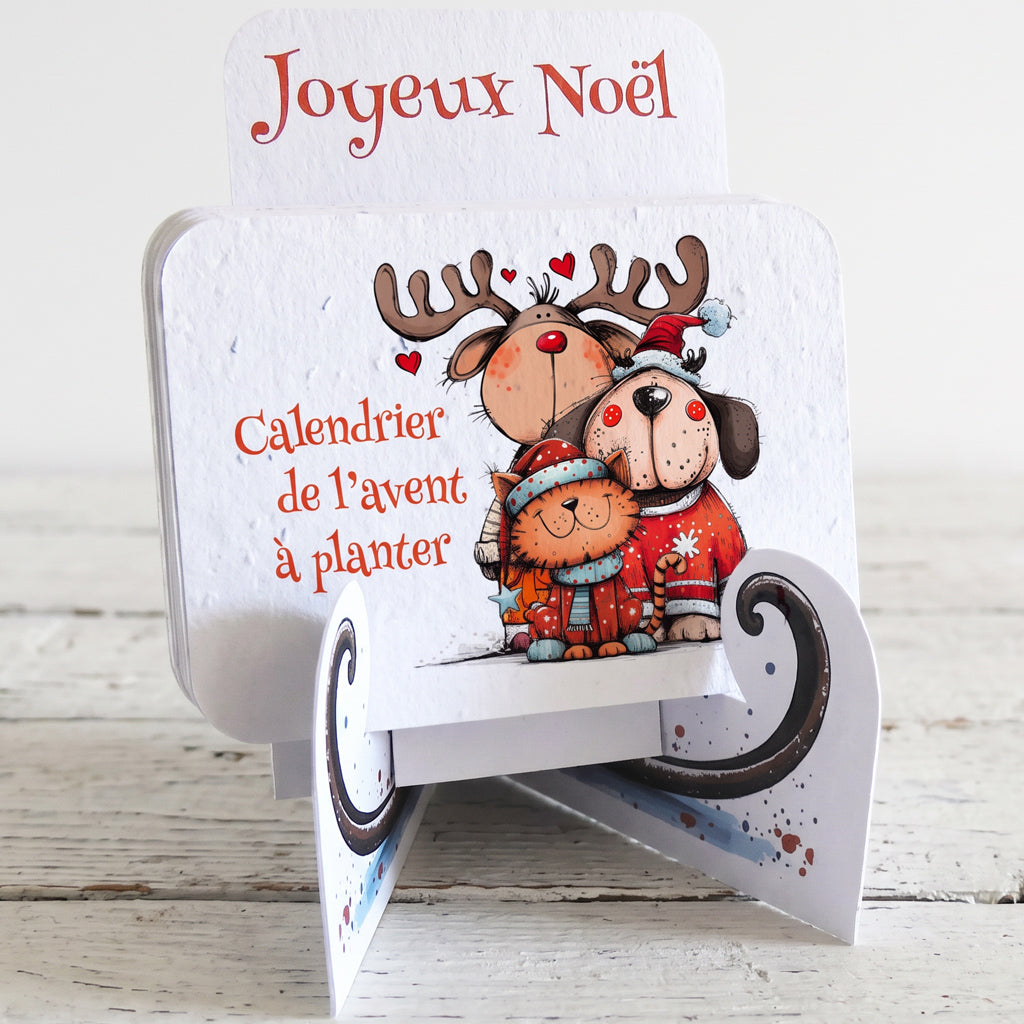 calendrier de l'avent en papier ensemencé