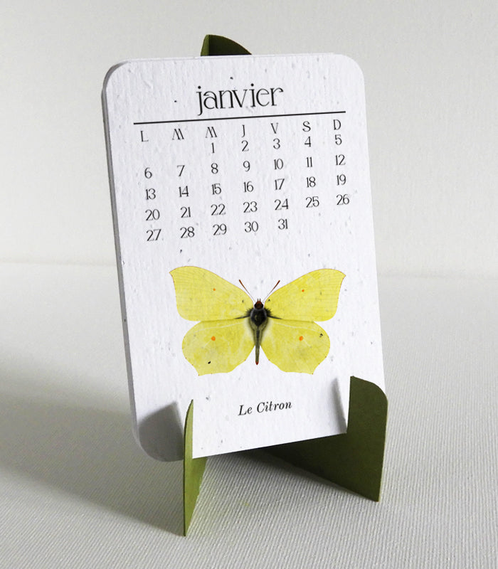 Calendrier à planter 2025 papier ensemencé