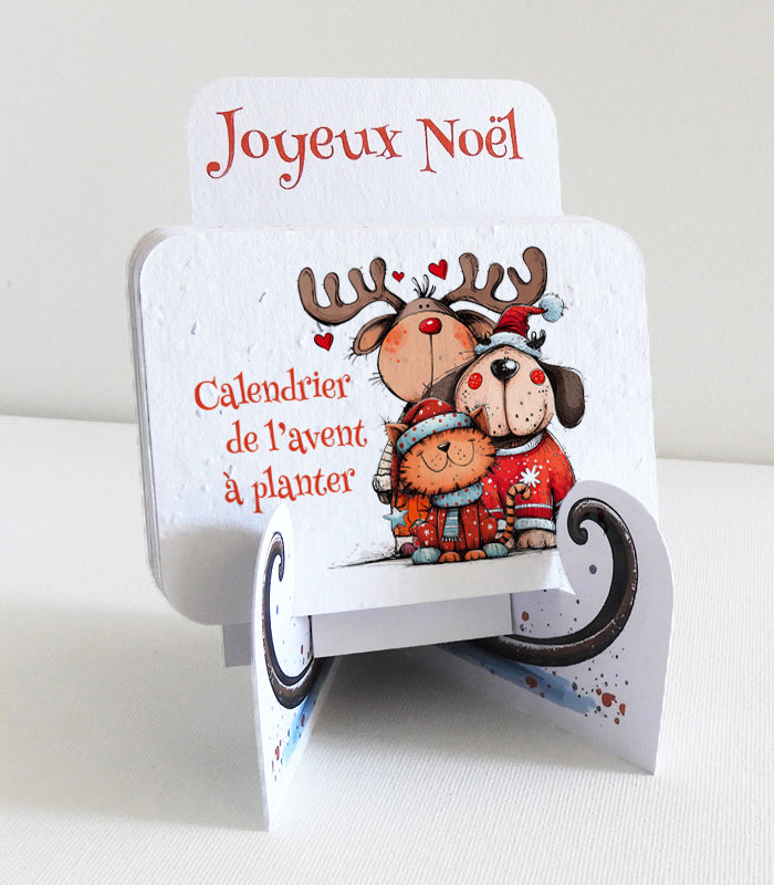 calendrier de l’avent à planter papier ensemencé