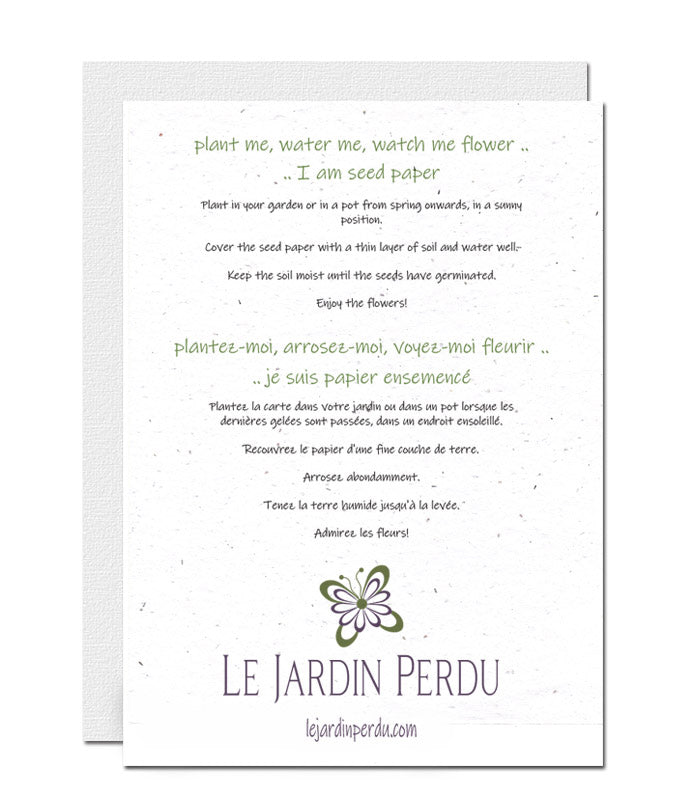 Plantable  New Year Card - Let's Celebrate !