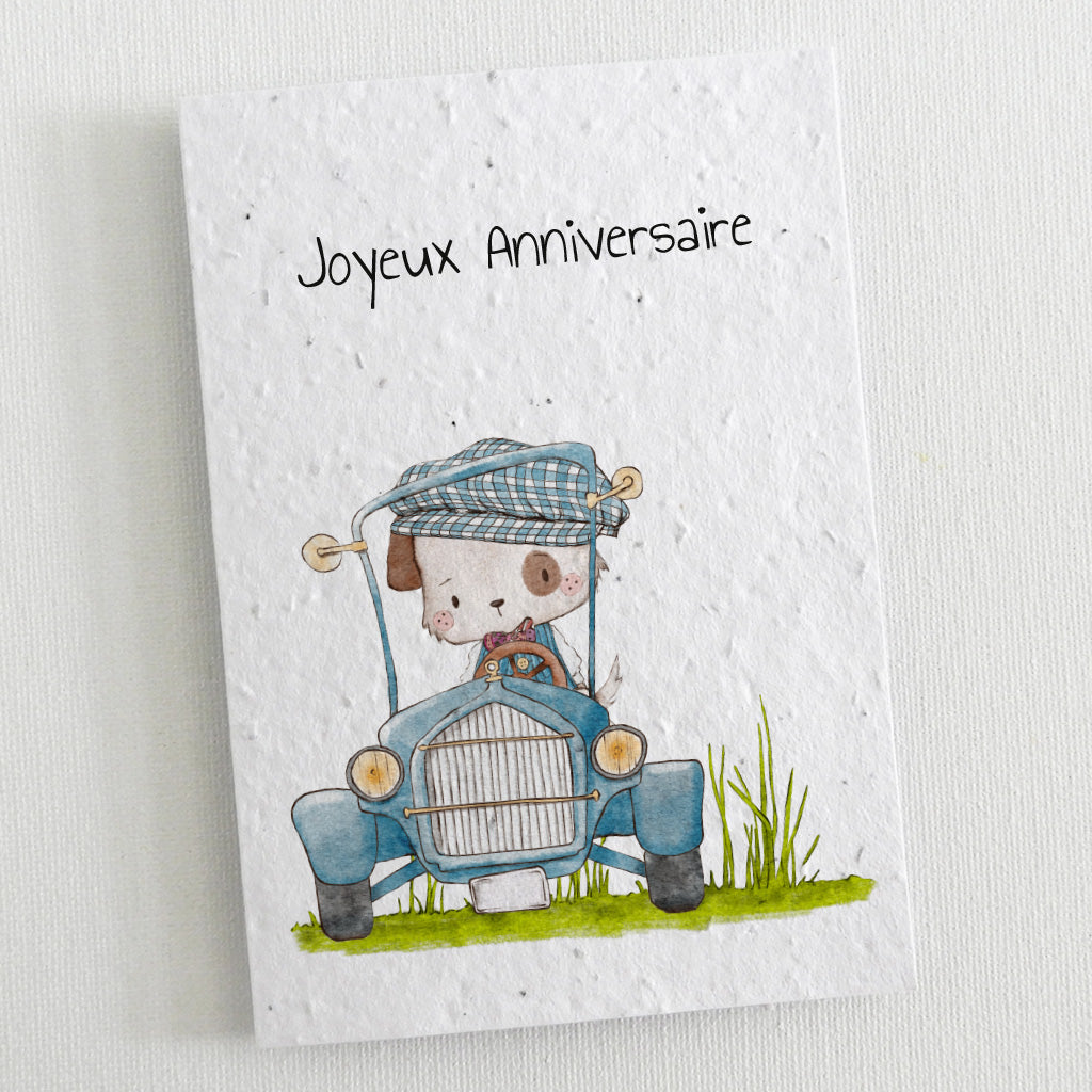 carte d&#39;anniversaire papier ensemencé