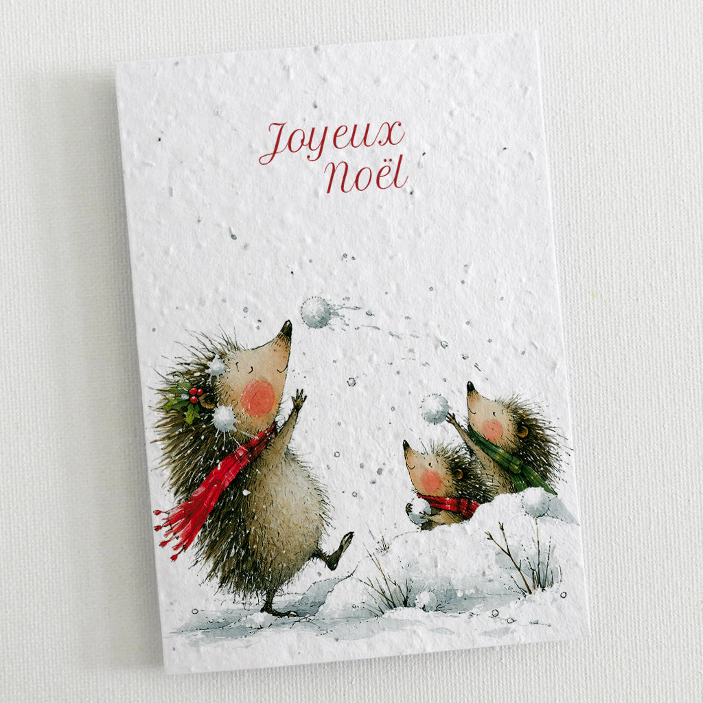 carte de noël à planter