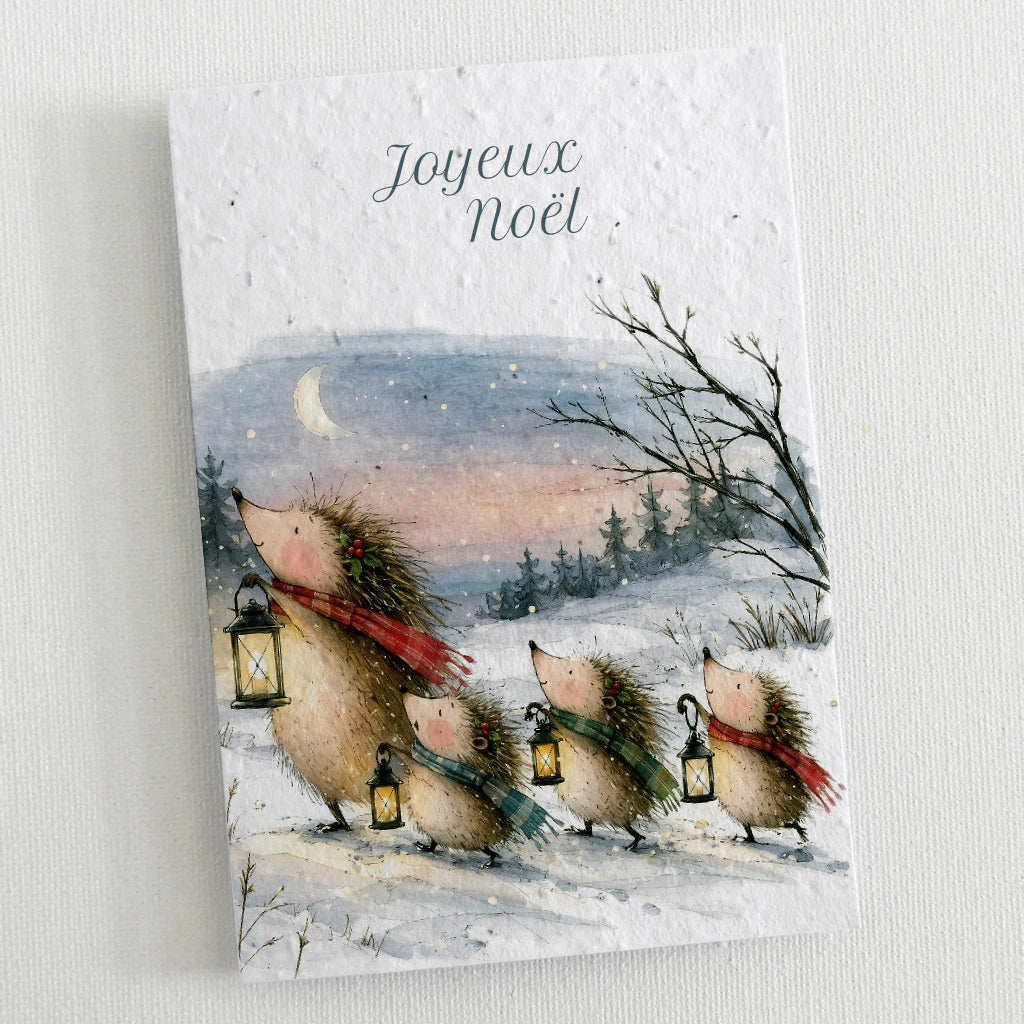 carte de noël en papier ensemencé