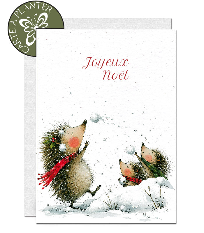 carte de Noël en papier ensemencé