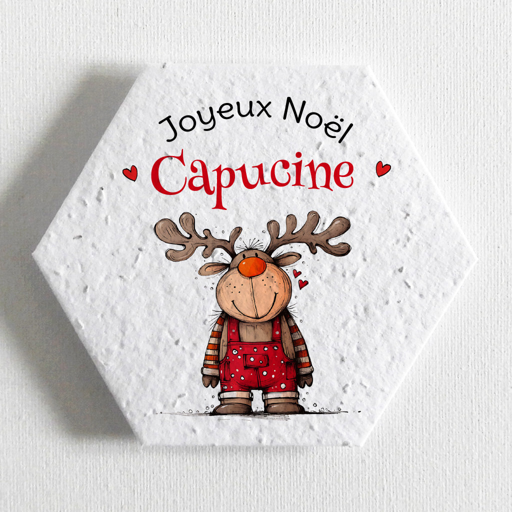 carte de Noël écoresponsable papier ensemencé