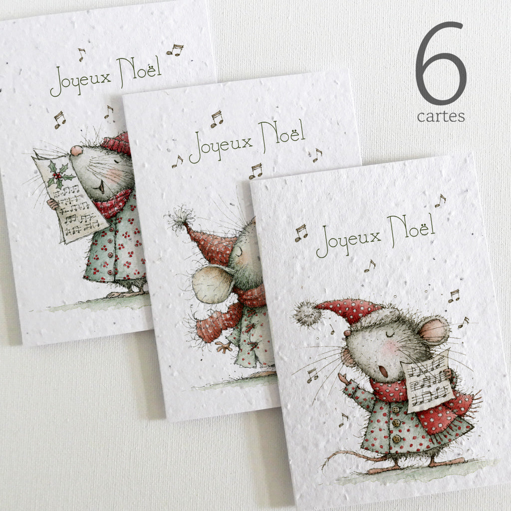 cartes de noël papier ensemencé