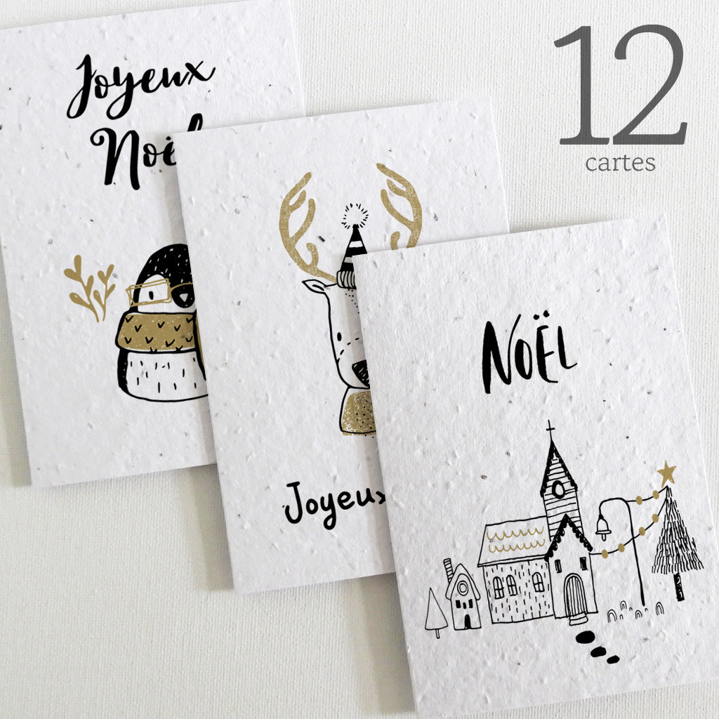 Cartes de Noël papier ensemencé