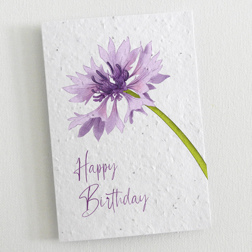 ecofriendly birthday card