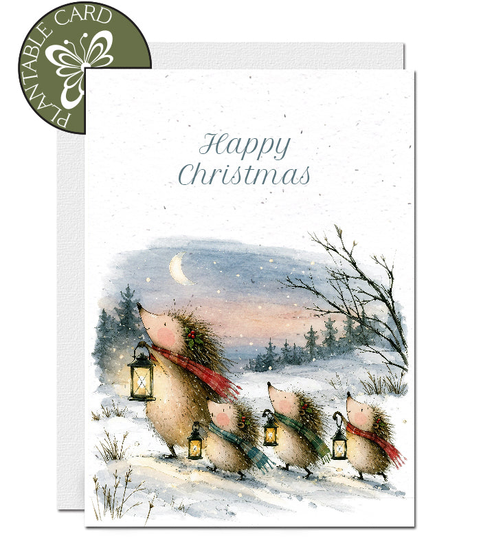 ecofriendly christmas card seed paper