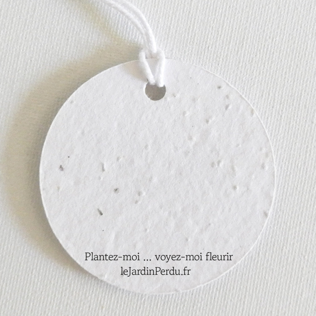 étiquette cadeau Noël à planter