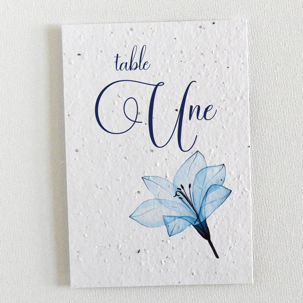 Mariage écologique papier ensemencé