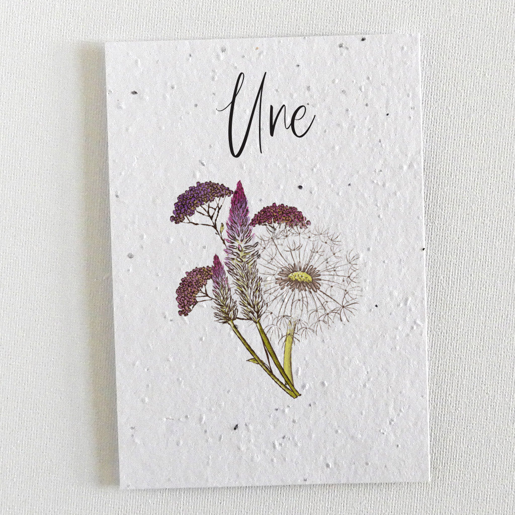 Mariage écoresponsable faire-part à planter