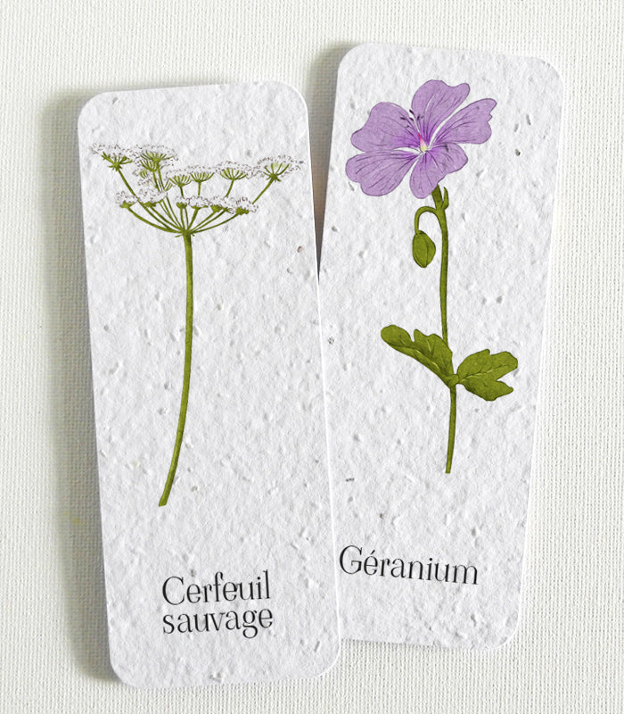Marque-page papier ensemencé