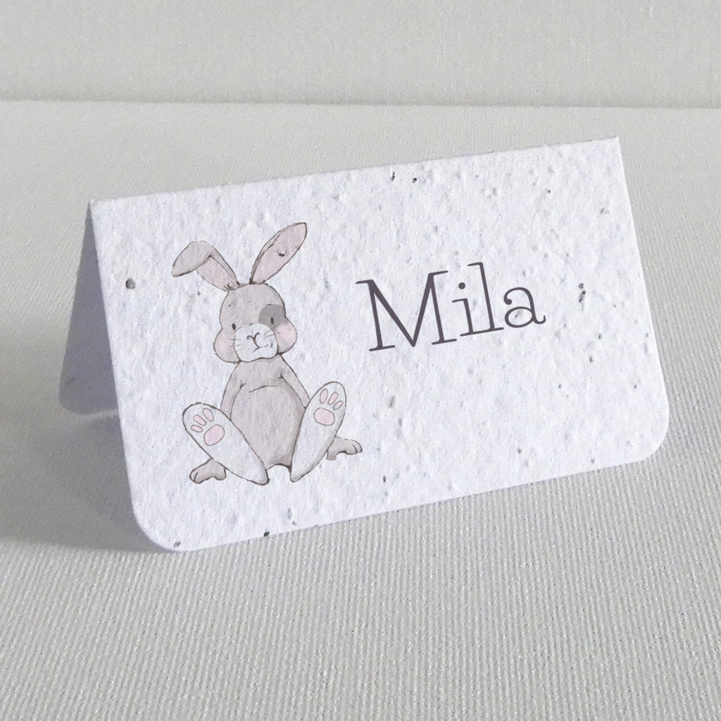 marque place baptême papier ensemencé