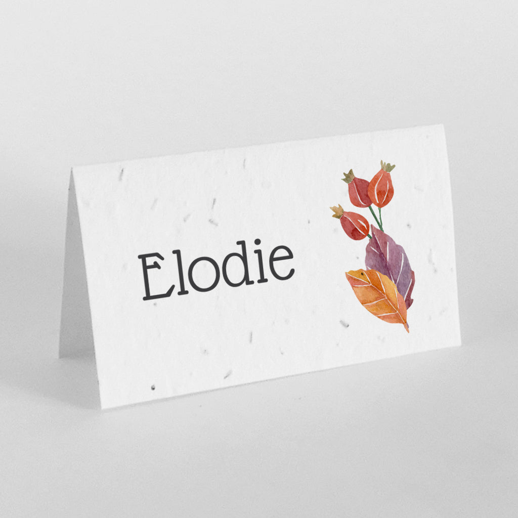 marque-places mariage à planter 