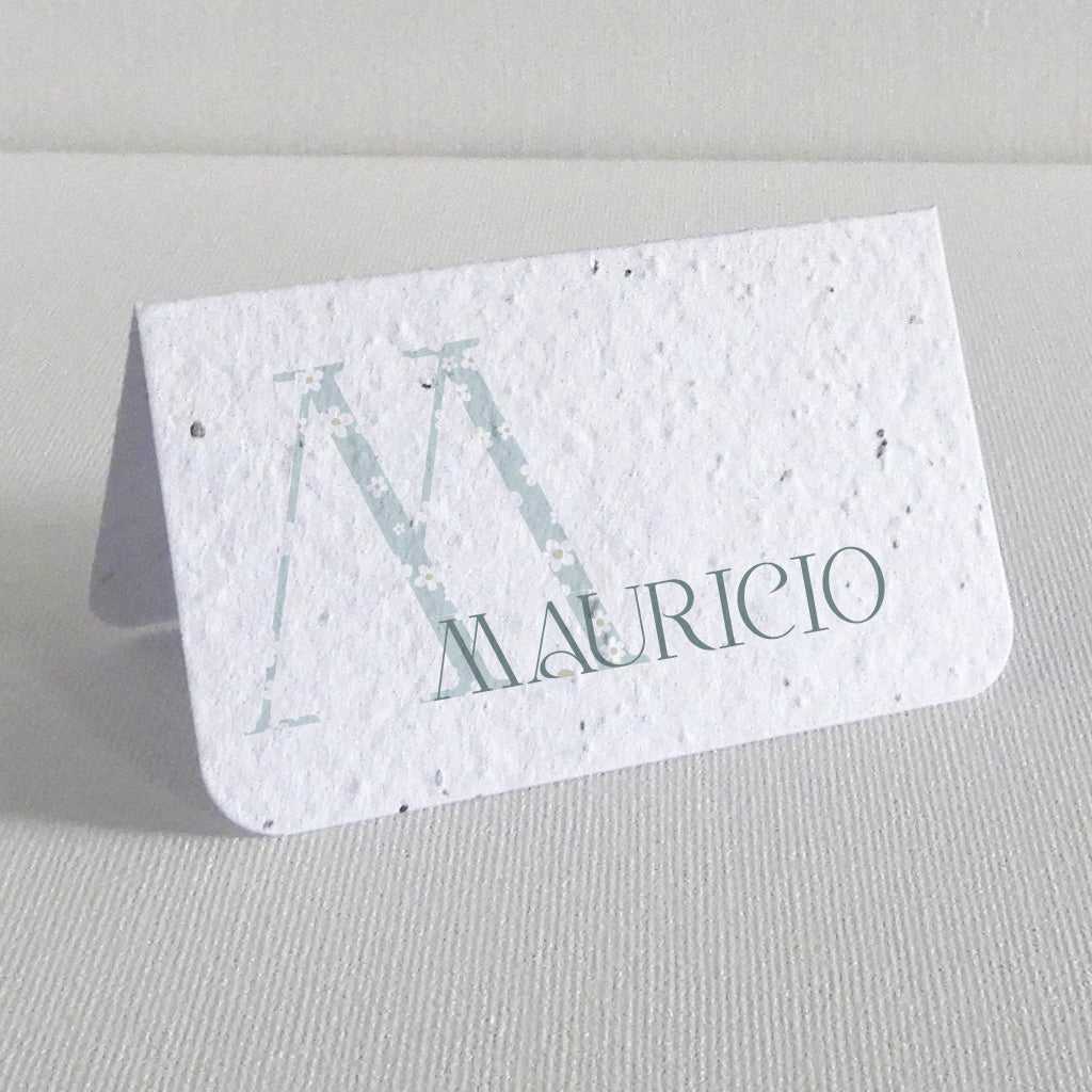 Marque-place baptême écologique papier ensemencé