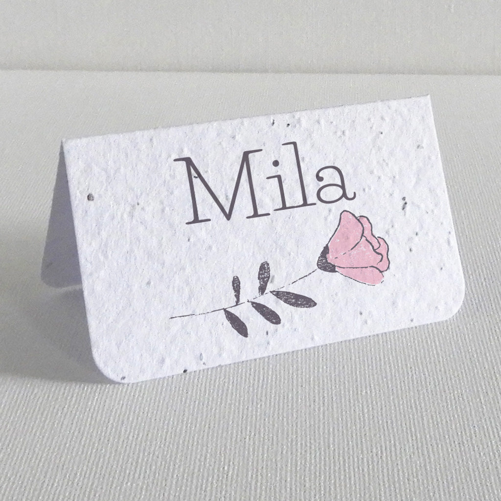 marque place baptême papier ensemencé