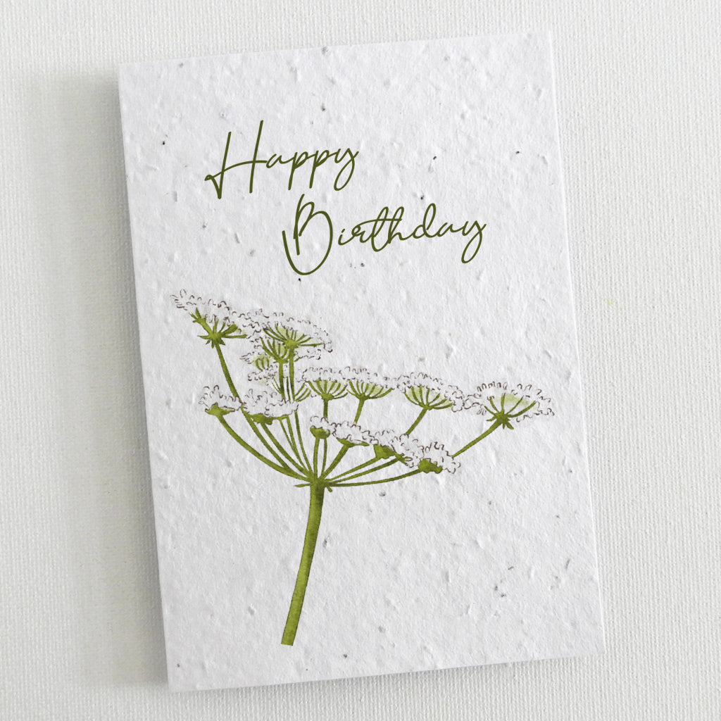 plantable birthday cards