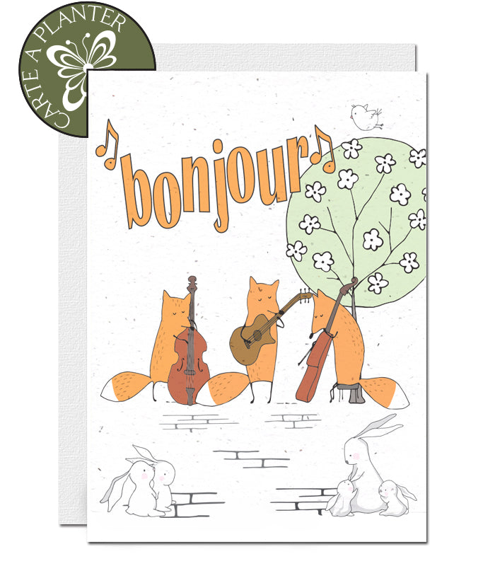 Carte à planter Bonjour
