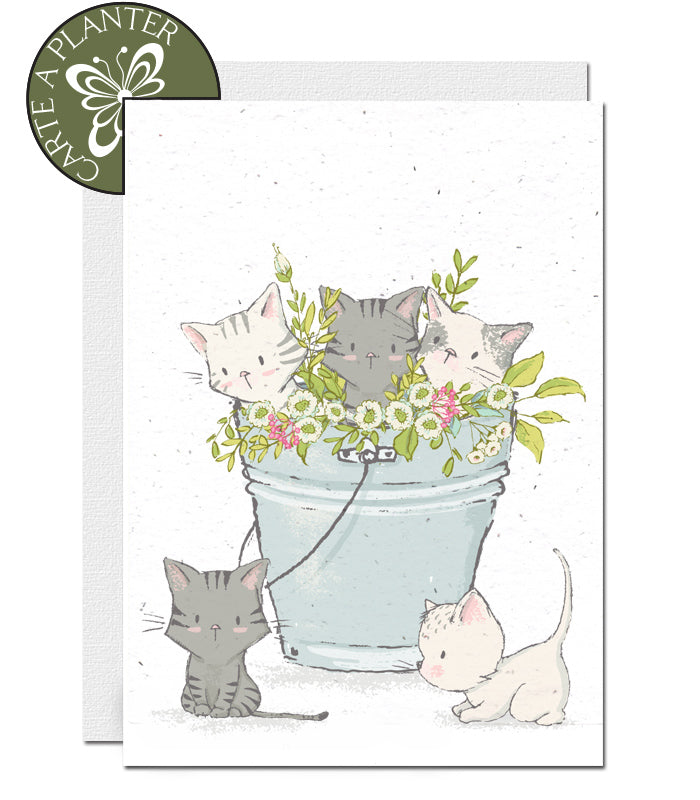 Carte à planter sans texte chatons