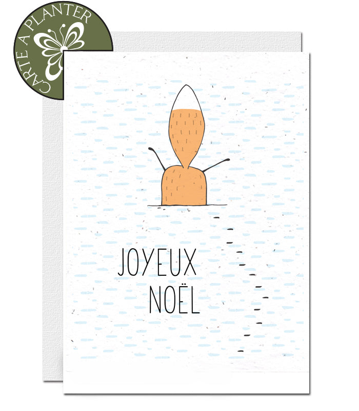 cartes garines fleurs noel