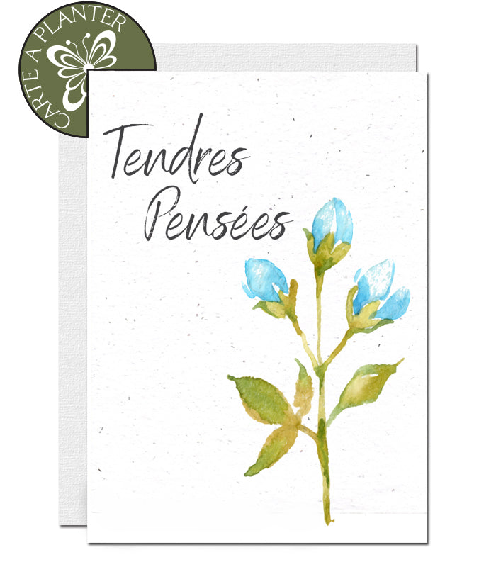 carte condoléance à planter trendre pensees