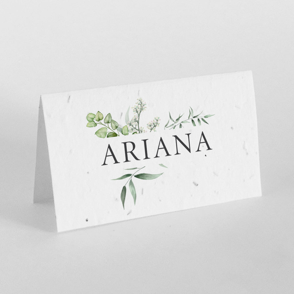 Marque place ensemencé