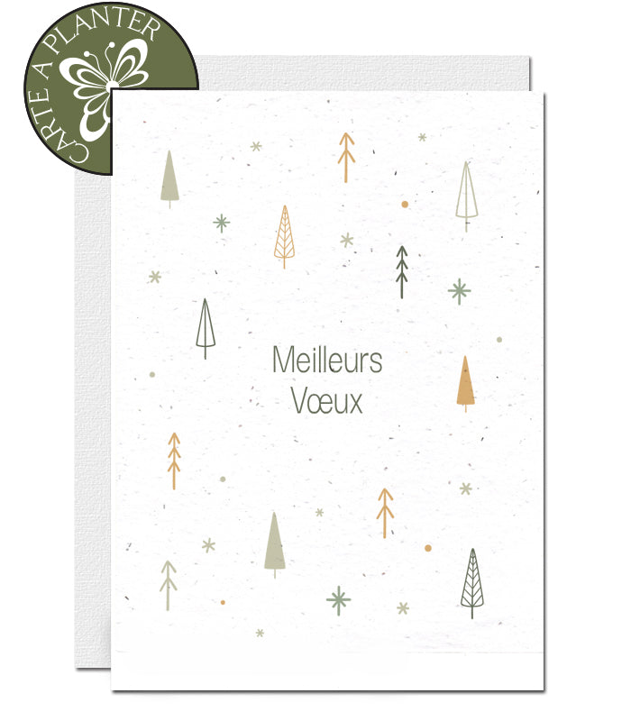papier ensemencé  carte meilleurs voeux